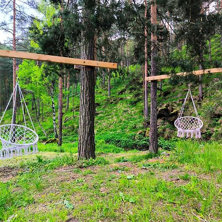 Vila Pogled Wellness I Spa Divčibare 外观 照片
