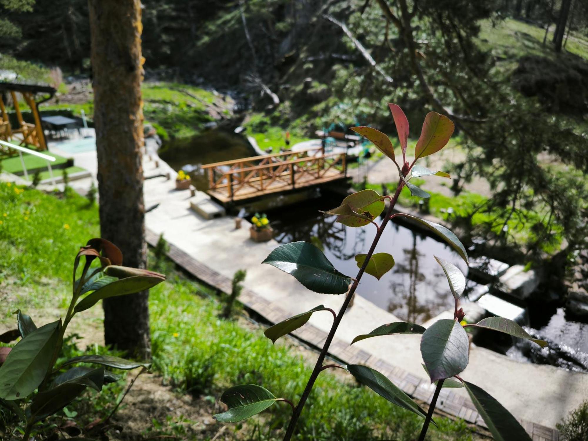 Vila Pogled Wellness I Spa Divčibare 外观 照片